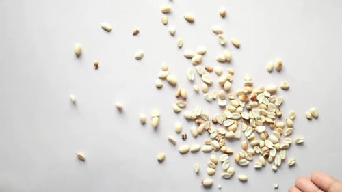 Slow Motion of Peanuts Throwing on White Background