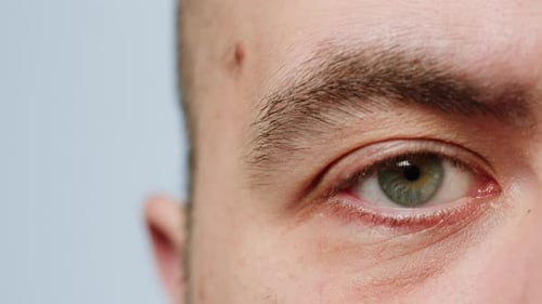 Männerauge mittleren Alters Menschliche Makroaufnahme von männlichen Augen