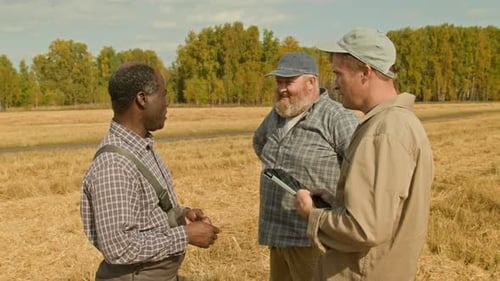 Three Farmers Group Chatting in Wheat Field and using Tablet