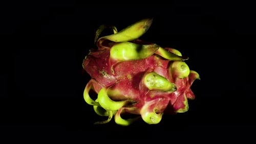 vivid colors of the Dragon fruit, slow rotate on black background.