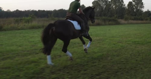 Slow motion of young carefree male is riding a purebred brown horse in nature on a sunset.