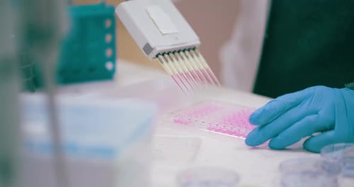 Trabajador de laboratorio investigador que realiza una investigación sobre el cáncer