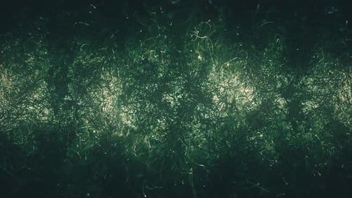 Chaotic Dark Nightmare