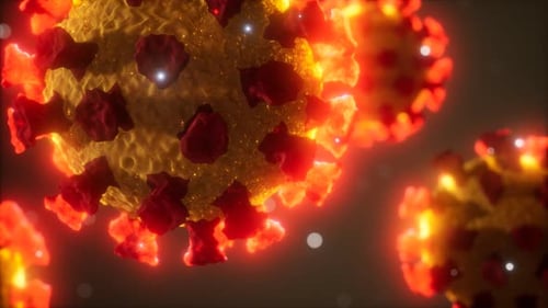 Coronavirus COVID19 Medical Model