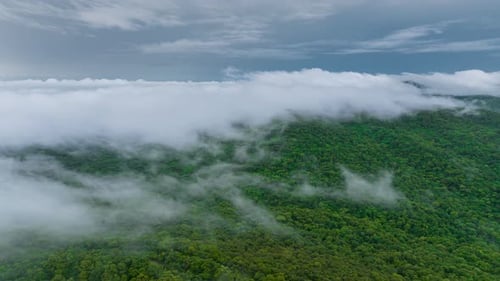 Beautiful aerial view of the valley landscape in the morning.