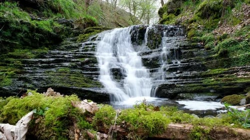 Waterfall in forest in the UK slider shot. 4k time lapse of water running over rocks, moss and trees