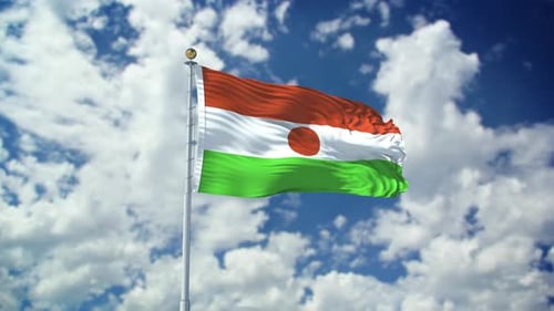 Niger Realistic Waving 4k