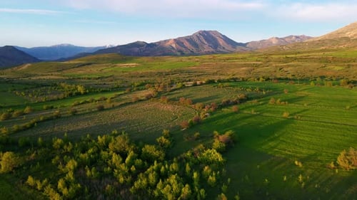 Aerial view the sky is clear spring time field