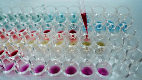 Female Research Scientist Uses Micropipette Filling Test Tubes in a Big Modern Laboratory In the