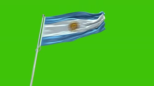 Realistic Waving Argentina Flag on Green Screen