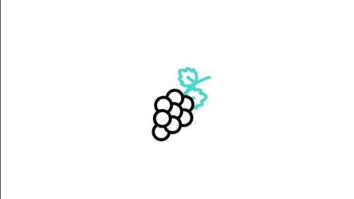 Animated Minimalist Grape Icon Drawing Animation