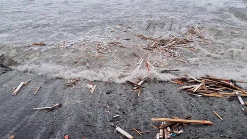 Debris on the Seashore After Strong Storm Natural Disaster at Sea Dirty Sea Heaps of Garbage on
