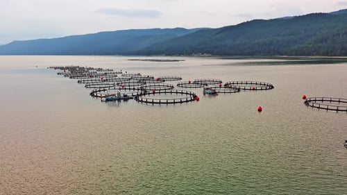 Fishing Cages for Breeding Fish in Lake in Mountain Valley of Rhodope Mountains Under Cloudy Sky