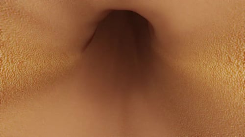 Medical chamber in the intestine