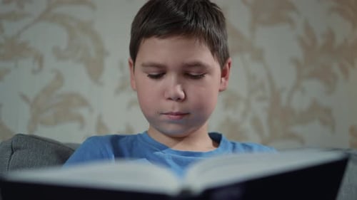 Boy Reads a Book in his Home