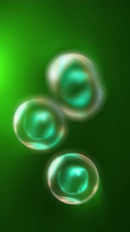 Green Fluid Abstract Bubbles Dividing and Multiplying Animation