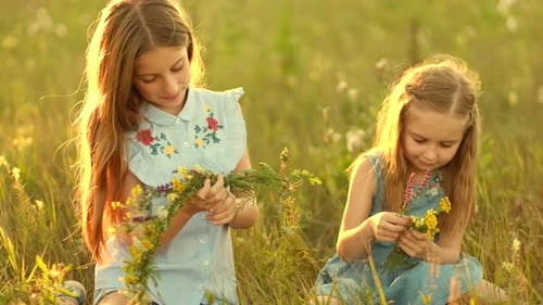 Girls on the Summer Meadow