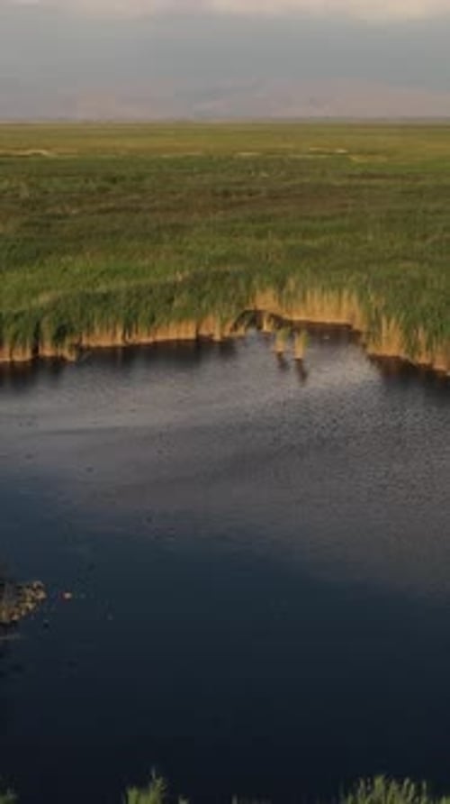 Lake in the Reeds Aerial View