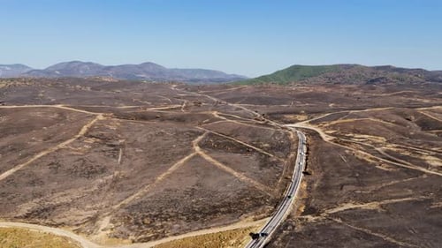 Burnt Forest Landscape After Wildfire - Aerial View in 4K