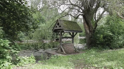 A Beautiful Scenery Of Green Growing Plants Around The Marsh - Medium Shot