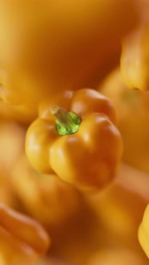 Animation of a group of bell pepper. Defocus. Close-up.