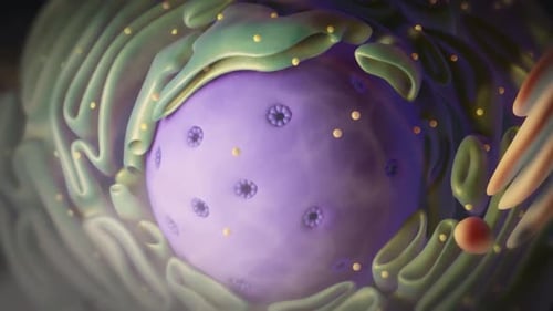 Vibrant cell structure with purple nucleus and green membranes
