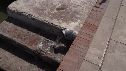 A pipe where water flows continuously over concrete steps.