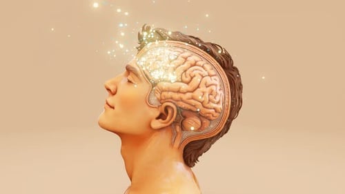 Animated Human Brain with Neural Activity