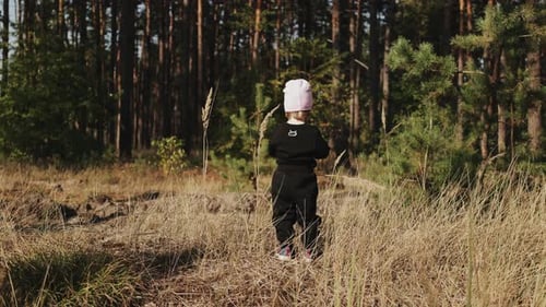 A Child Happily Exploring the Wonders of Nature in a Serene Forest Setting Enjoying the Outdoors