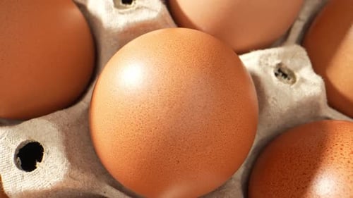 Macro video showcases fresh eggs in a paper tray.