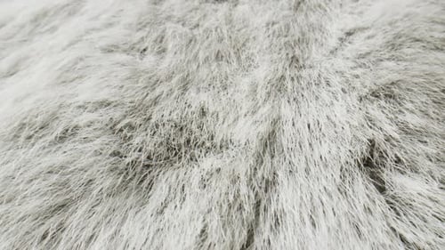A CloseUp View of Elegant White Fur Texture in Fine Detail Capturing Its Beauty and Softness