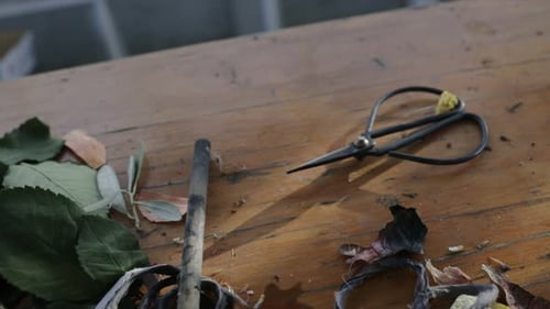 Close Up Scissors On Craft Table