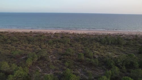 Sea Beach and Forest