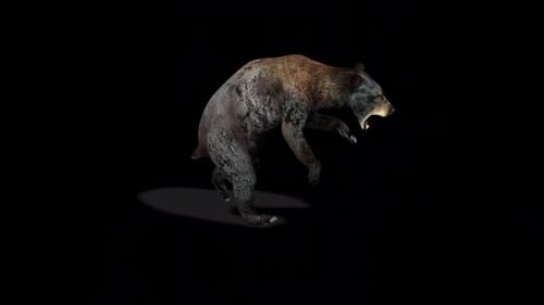 Realistic Bear Roaring 3D Animation on Black Background