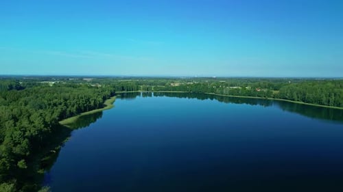 Aerial over wonderful natural lake around evergreen forest in rural location during the day