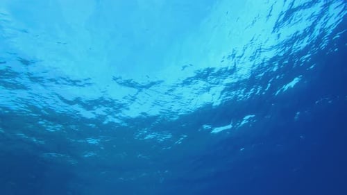 Exploring the Blue Ocean