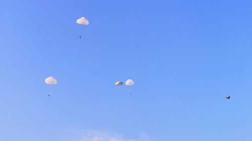 Mehrere militärische Fallschirmjäger steigen langsam unter weißen Fallschirmen ab und werden bei klarem Himmel gefangen genommen