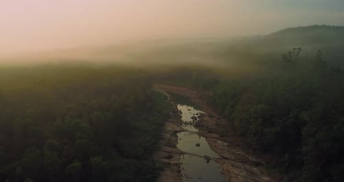 Drone aerial following foggy river through lush tropical rainforest landscape