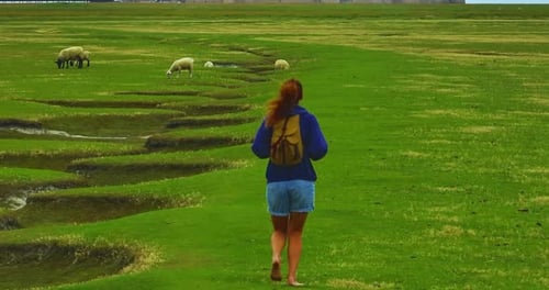A Female with a Backpack Visits the Mont Saint Michel Castle While Walking Through Green Meadows