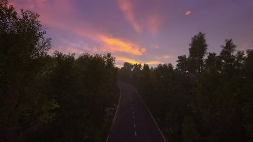 Serene Forest Road at Sunset with Vibrant Sky