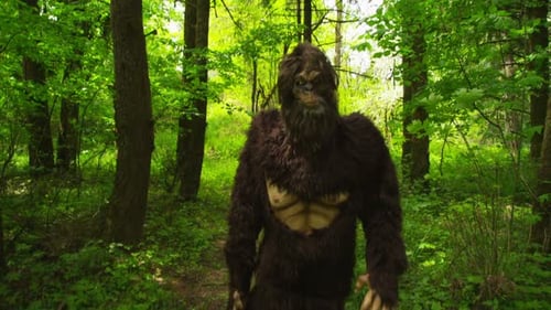Sasquatch läuft haarig und lustig durch den Wald, Kreatur der Fantasie