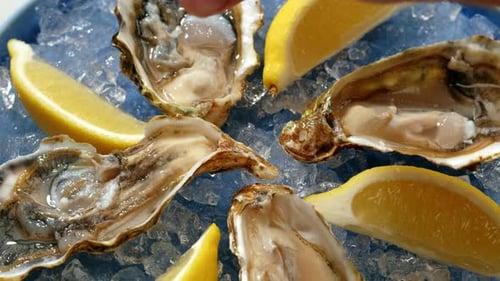 Fresh Raw Oysters with Ice Squeeze Lemon French Restaurant Mediterranean Healthy Sea Food Gourment