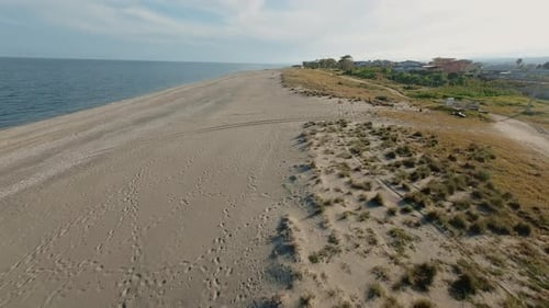 Beaches and Coasts Among the Vegetation