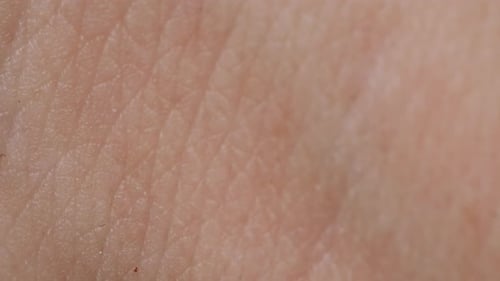 Closeup of Man Hand Skin Texture Macro Detailed Human Skin Lines on Hand Palm