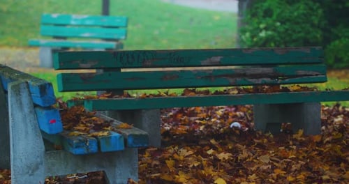 Green park bench in the Fall with Leaves falling from the trees above.