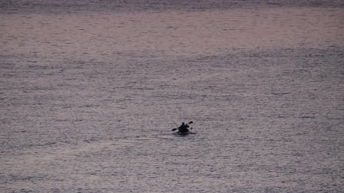 Male Person Kayaking On Sea And Fishing