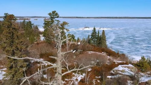 Epic panorama of a lone bald eagle