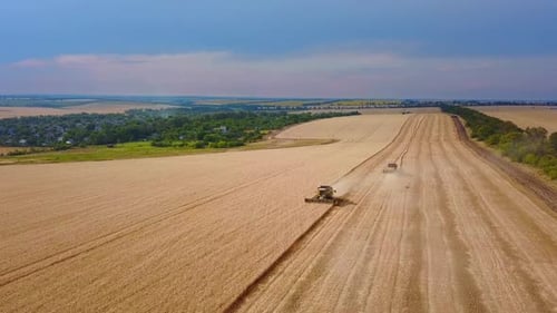 Vue aérienne par Drone Des moissonneuses-batteuses travaillant dans un champ de blé au coucher du soleil | Chauffeur de machine