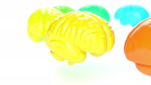 Color Brains on White Bg Able to Loop Endless