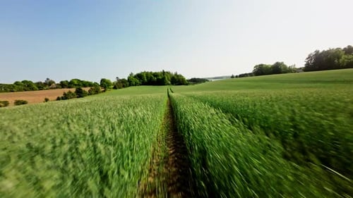 Speeding Drone Over Lush Farm Landscape
